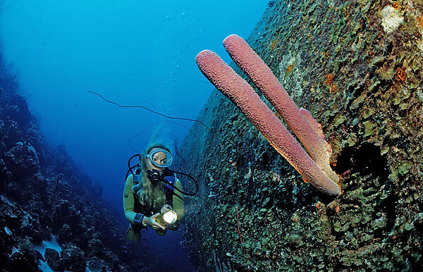 Scuba diver on the Hilma Hooker Ship Wreck