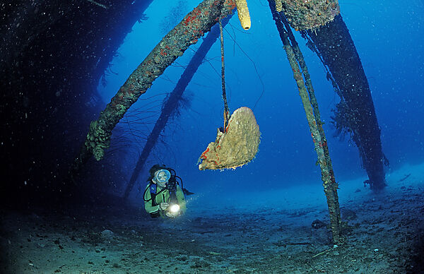 Scuba diver on the Hilma Hooker Ship Wreck