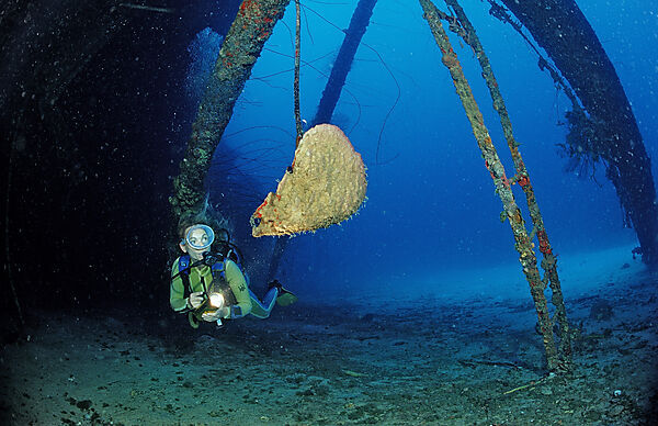 Scuba diver on the Hilma Hooker Ship Wreck