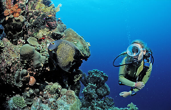 Scuba diver and coral reef