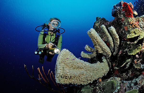 Scuba diver and coral reef
