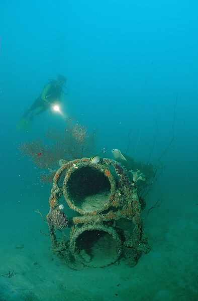 Japanese Kamikaze Submarine