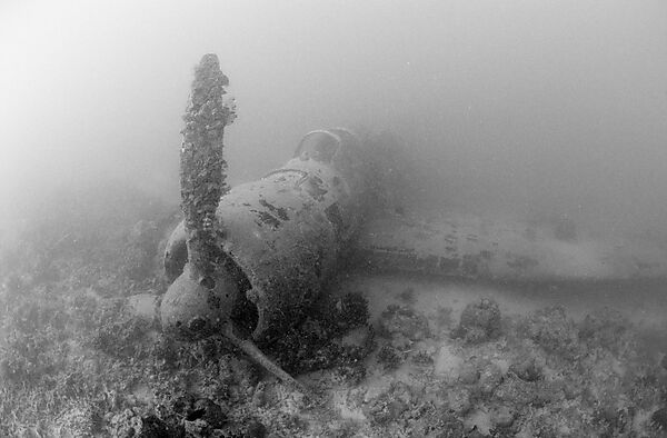 Nakajima B5N2 Kate Torpedo Bomber
