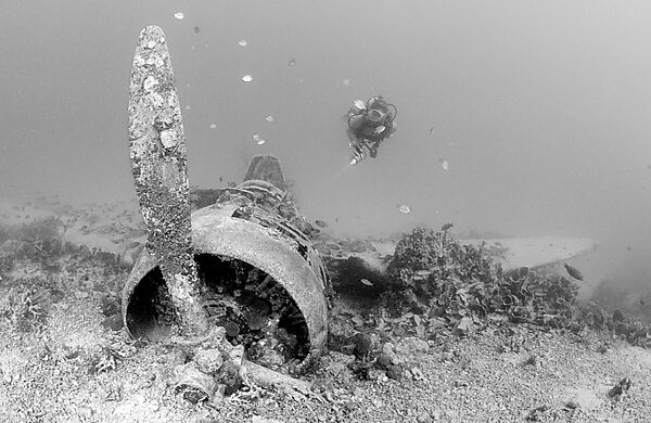 Nakajima B5N2 Kate Torpedo Bomber and Scuba diver
