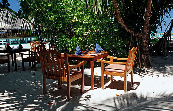 Beachbar under Palm trees