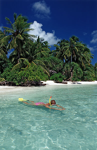 Palmenstrand und Schnorchlerin