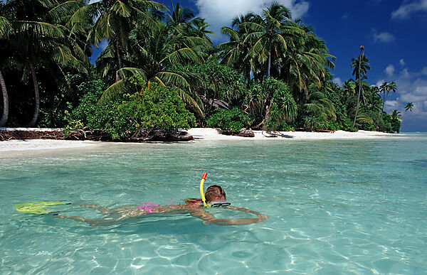 palm-lined Beach and Skin Diver