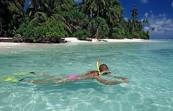palm-lined Beach and Skin Diver