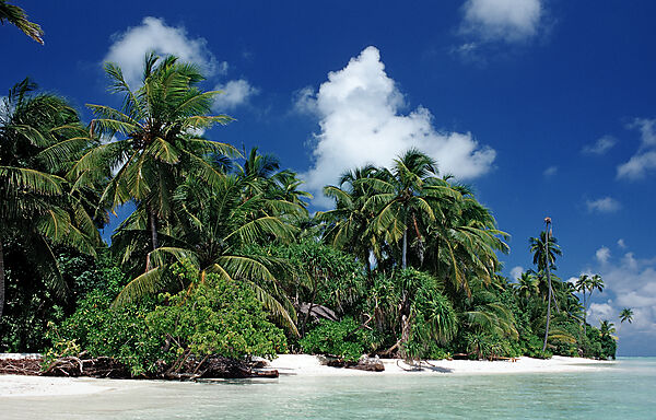 Dream Beach on Maldives