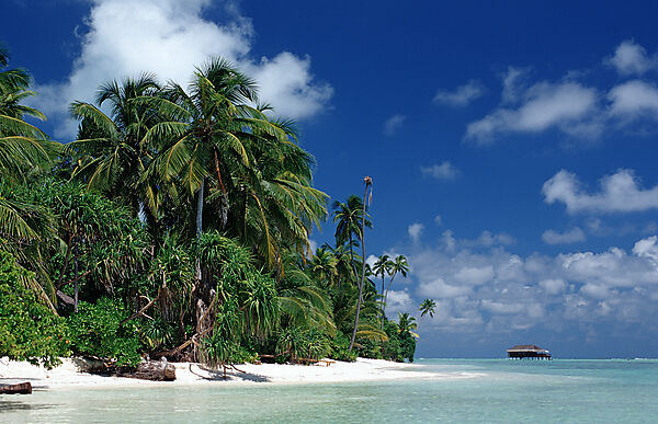 Dream Beach on Maldives