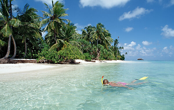 Snorkeling at palm-lined Beach