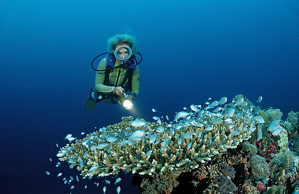 Taucher an Korallenriff mit Korallenfischen