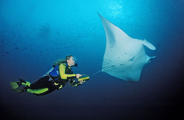 Manta and Diver