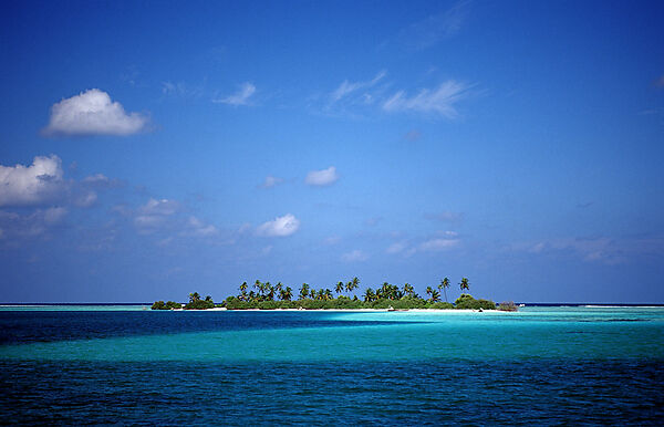 Palmy Island
