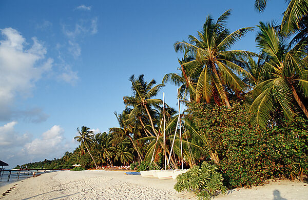 Catamaran at Beach