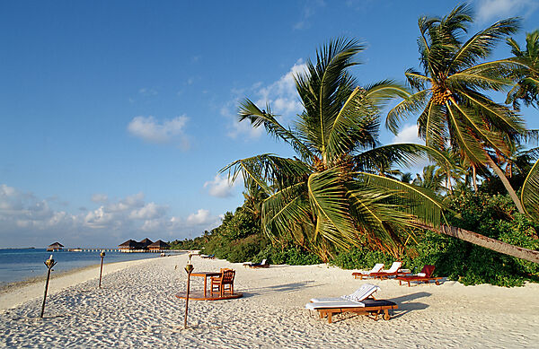 Maledivian Beach