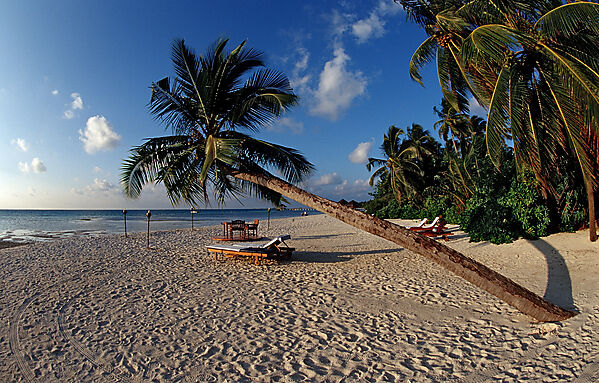 Maledivian Beach
