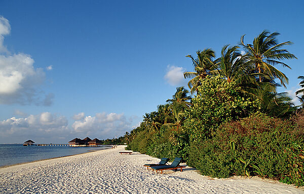 Maledivian Beach