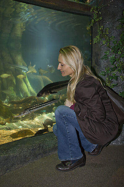 Sea Life Aquarium