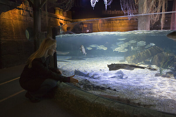 Sea Life Aquarium