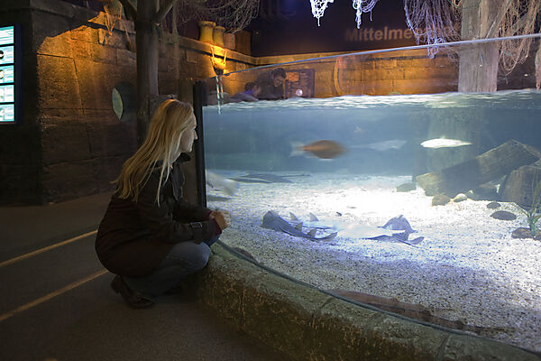 Sea Life Aquarium