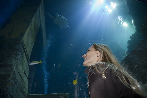 Sea Life Aquarium