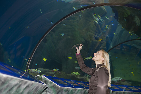 Sea Life Aquarium