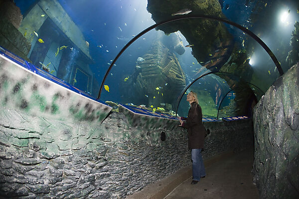 Sea Life Aquarium