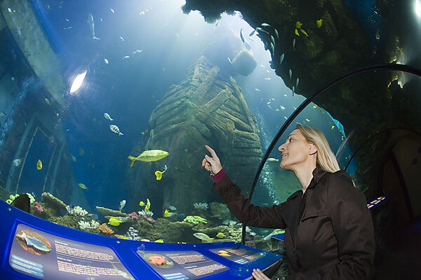 Sea Life Aquarium