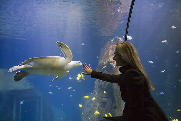 Sea Life Aquarium