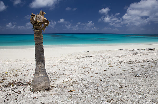 Lagune und Strand von Bikini