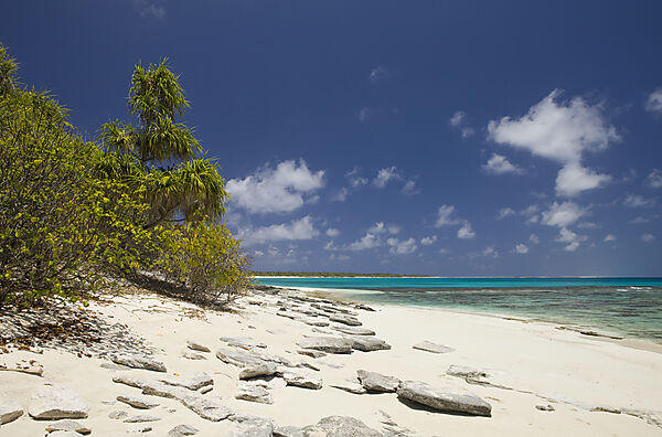 Strand und Lagune von Bikini