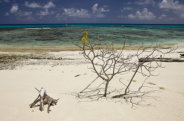 Strand und Lagune von Bikini