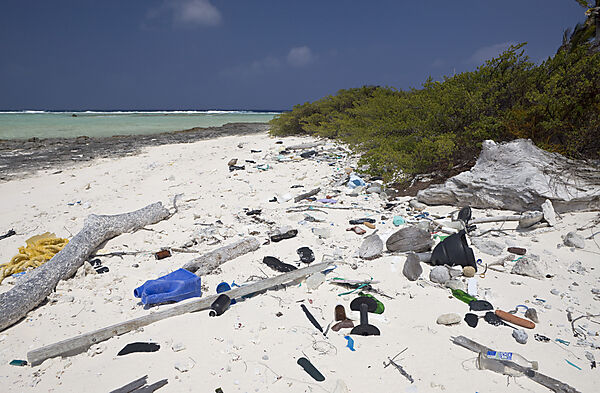 Rabbish of Civilisation washed up at Bikini Beach