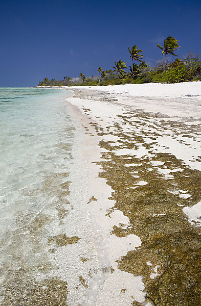 Strand von Bikini