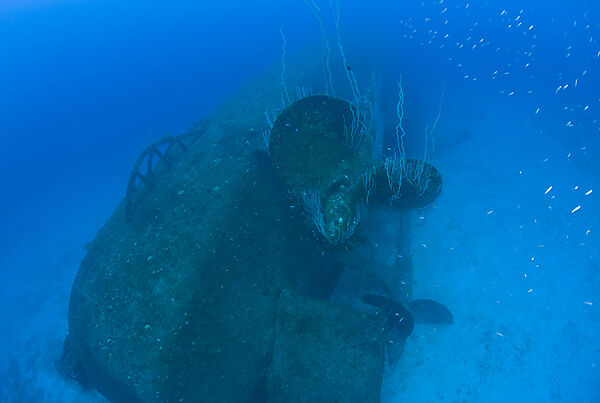 Propeller, Screw of Wreck USS Anderson Destroyer