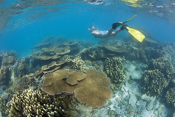 Schnorcheln im Bikini Atoll