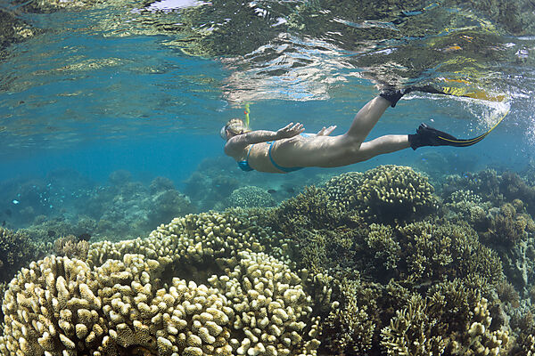 Schnorcheln im Bikini Atoll