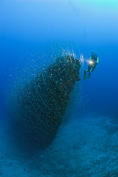 Taucher am Bug des U-Bootes USS Apogon