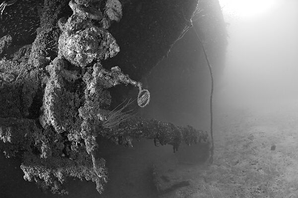 Visier und 12-Zoll Geschuetz am Wrack der USS Arkansas