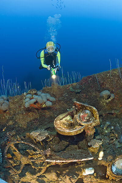 Diver entdeckt Artefakte am Wrack der USS Carlisle