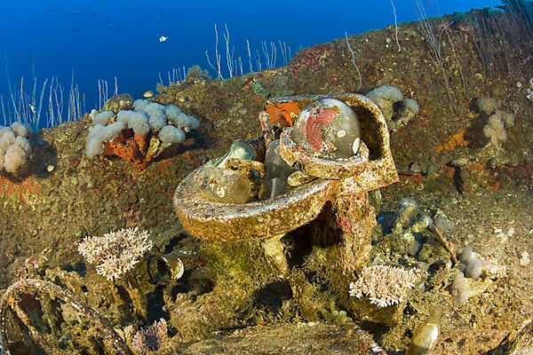 Artefakte am Wrack der USS Carlisle