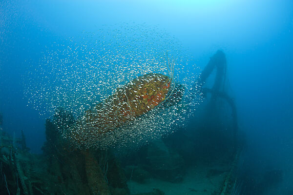 Torpedos auf Zerstoerer USS Lamson
