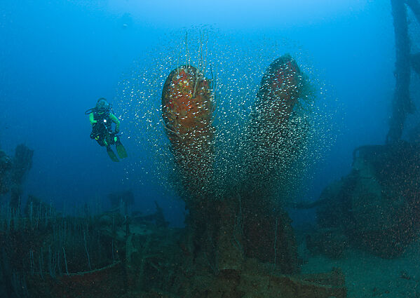 Taucher neben Torpedos der USS Lamson