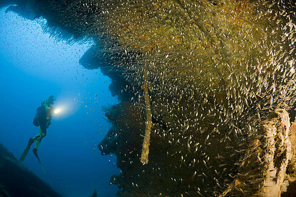Diving at HIJMS Nagato Battleship