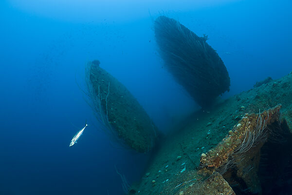Rudder of bottom up laying HIJMS Nagato Battleship