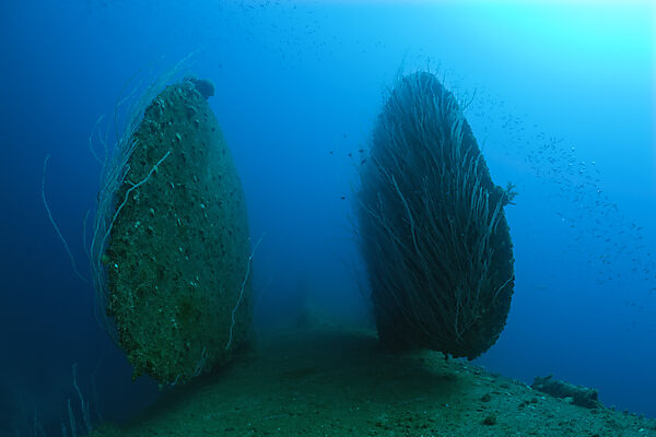 Rudder of bottom up laying HIJMS Nagato Battleship