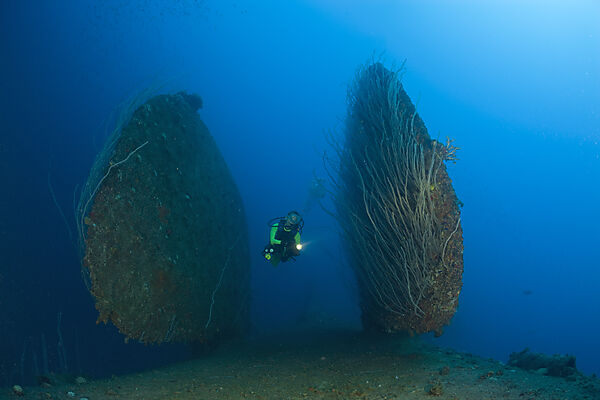 Diver between Rudder of bottom up laying HIJMS Nagato Battleship