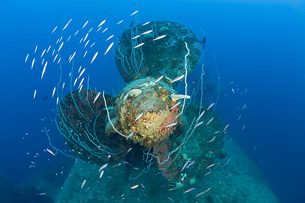 Diver at Propeller of HIJMS Nagato Battleship