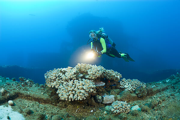 Diver and Corals at Flight Deck on USS Saratoga